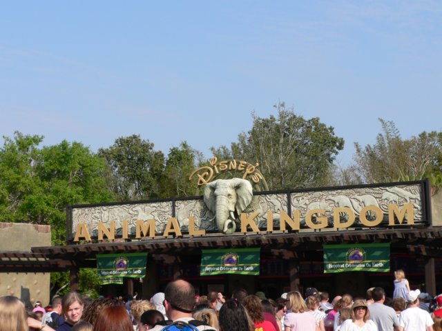 p1000811.jpg