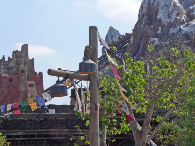 p1000835.jpg