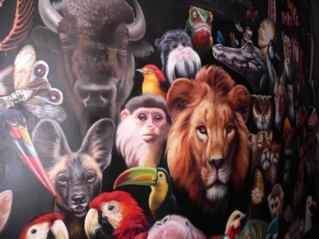 p1000879.jpg