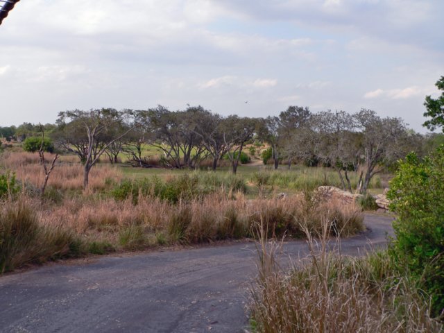 p1000892.jpg
