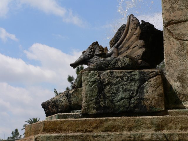p1010106.jpg