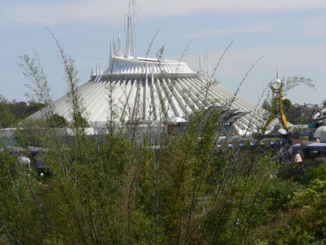 p1010184.jpg